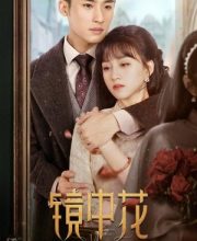 Flower in the Mirror (2024)